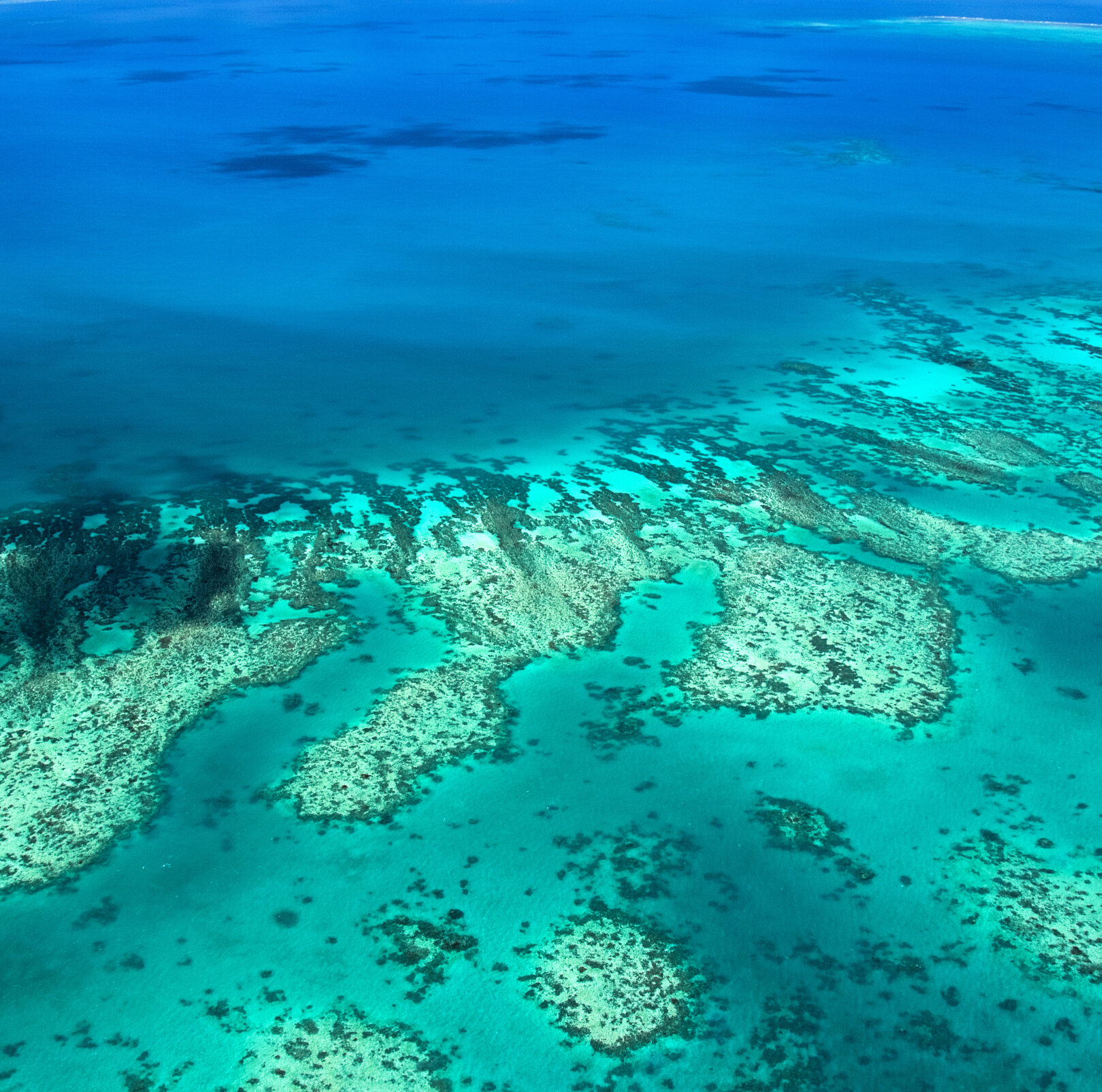 Aerial view of a great barrier reef